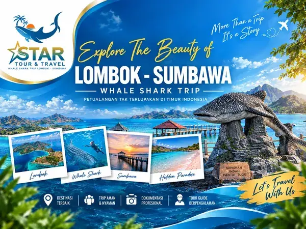 Paket One Day Trip Snorkeling Hiu Paus Teluk Saleh