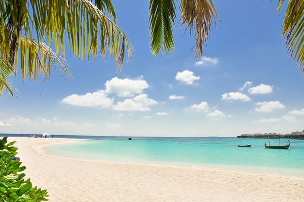 Paket Private Boat Tour Pantai Pink & Gili Petelu Lombok